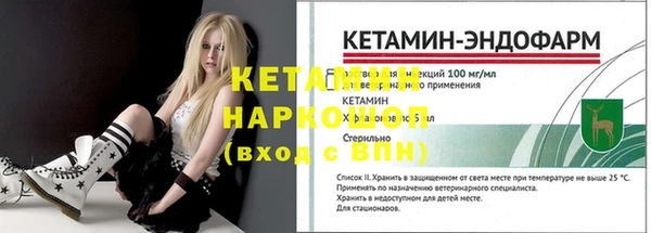 мдпв Бородино