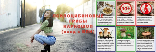 каннабис Богданович