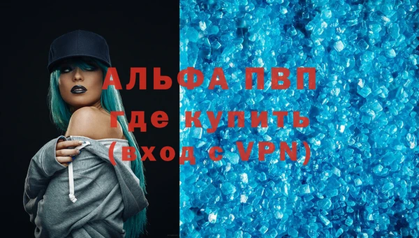 мдпв Бородино