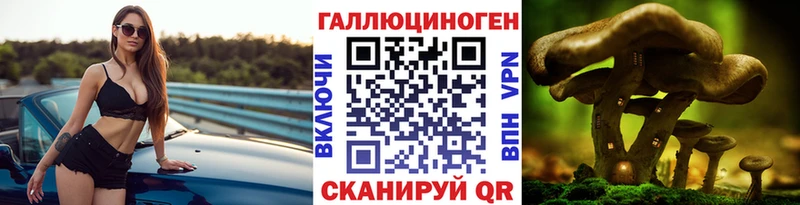 Галлюциногенные грибы Cubensis  сколько стоит  Волосово 